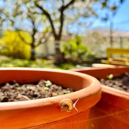 Neugebaute Im Erdgeschoss By Interhome *