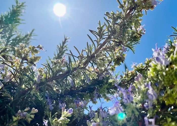 Apartman Neugebaute Im Erdgeschoss By Interhome *