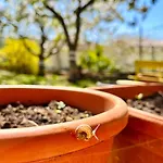 Neugebaute Im Erdgeschoss By Interhome *