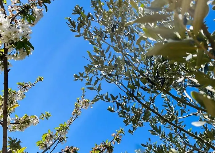 Neugebaute Im Erdgeschoss By Interhome *