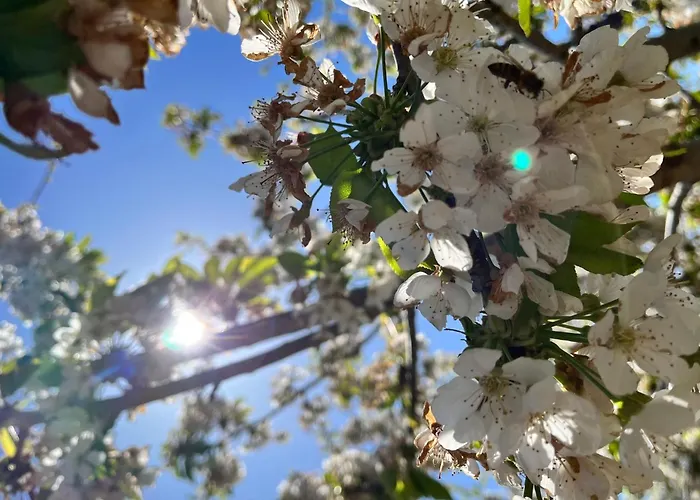 شقة Neugebaute Im Erdgeschoss By Interhome