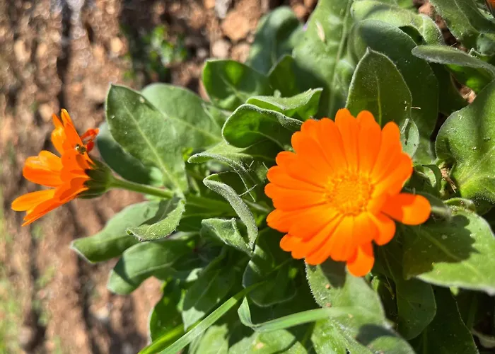 Neugebaute Im Erdgeschoss By Interhome غورني كارين