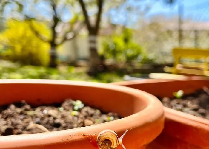 Neugebaute Im Erdgeschoss By Interhome *